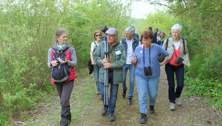 Concevoir et réaliser une sortie ornitho